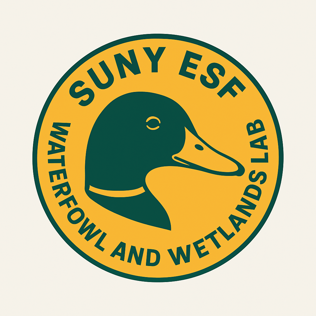 Mallard badge